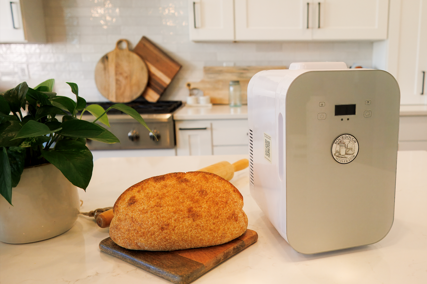 Sourdough Accelerator